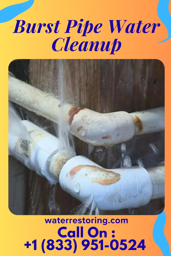 Burst Pipe Water Cleanup in Burns, KS