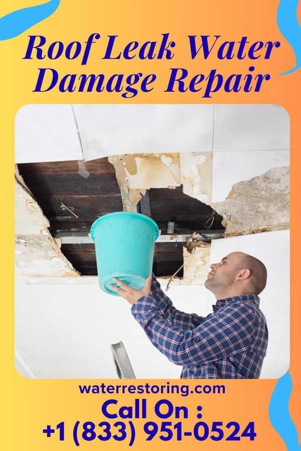 Roof Leak Water Damage Repair in Burns, KS